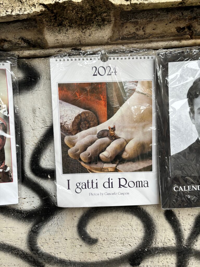 Roma Gezi Rehberi