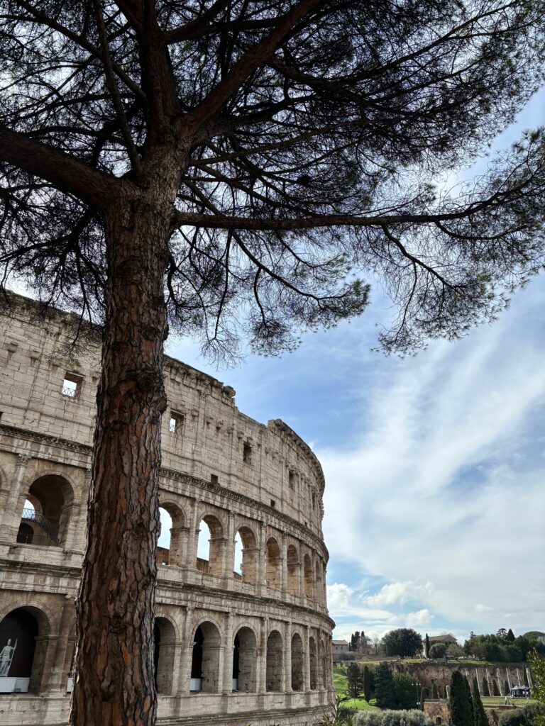 Colosseum - Roma Gezi Rehberi